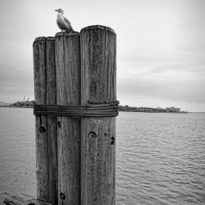 www.photographer.cl italo arriaza