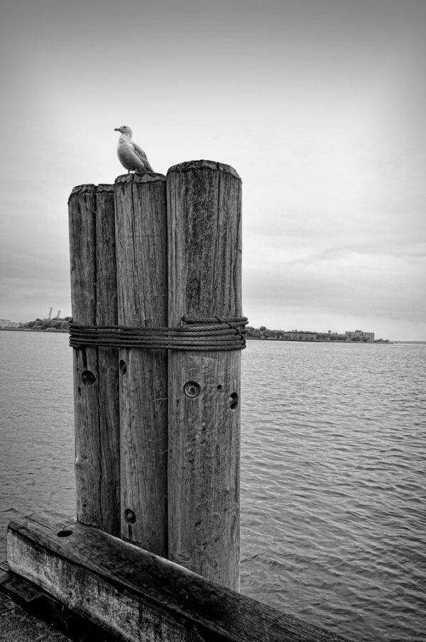 www.photographer.cl italo arriaza