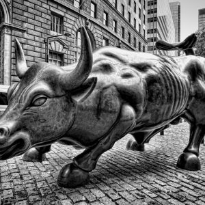 bull manhattan www.photographer.cl italo arriaza