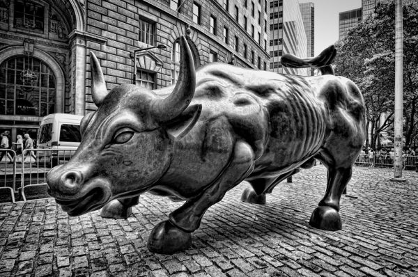 bull manhattan www.photographer.cl italo arriaza