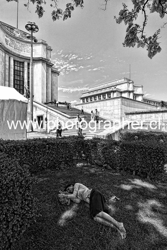 DSC_3217 www.photographer.cl